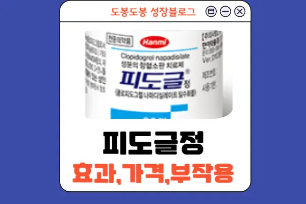 피도글정 안내 이미지