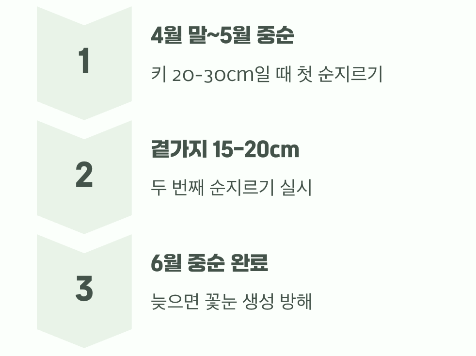 마법의 타이밍, 언제 잘라야 할까?