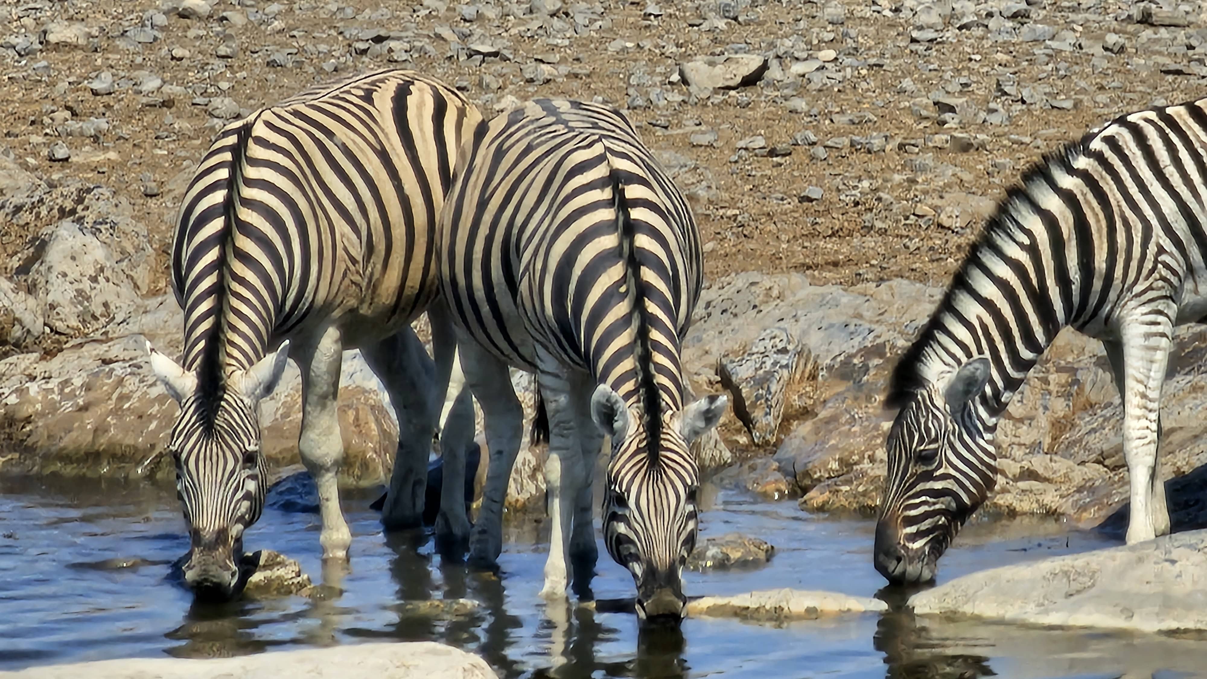 아이와 여행을 위한 마인드셋