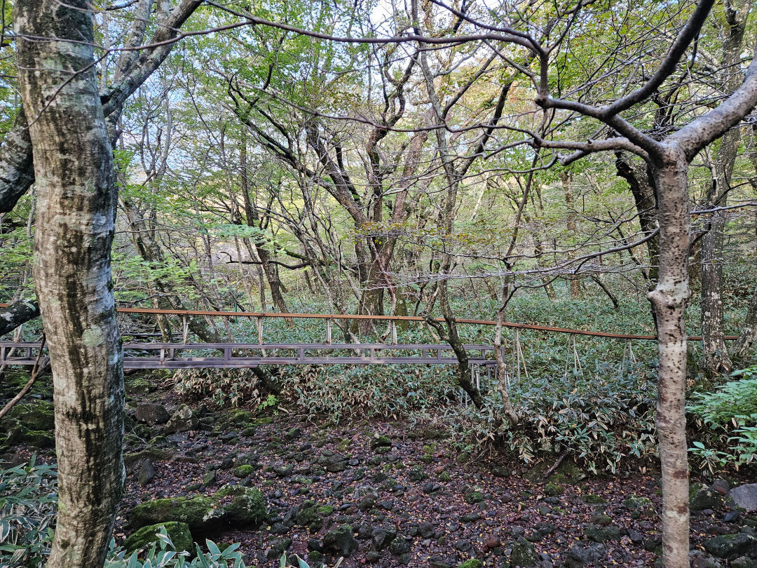 한라산 모노레일