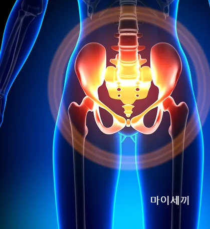고관절 위치