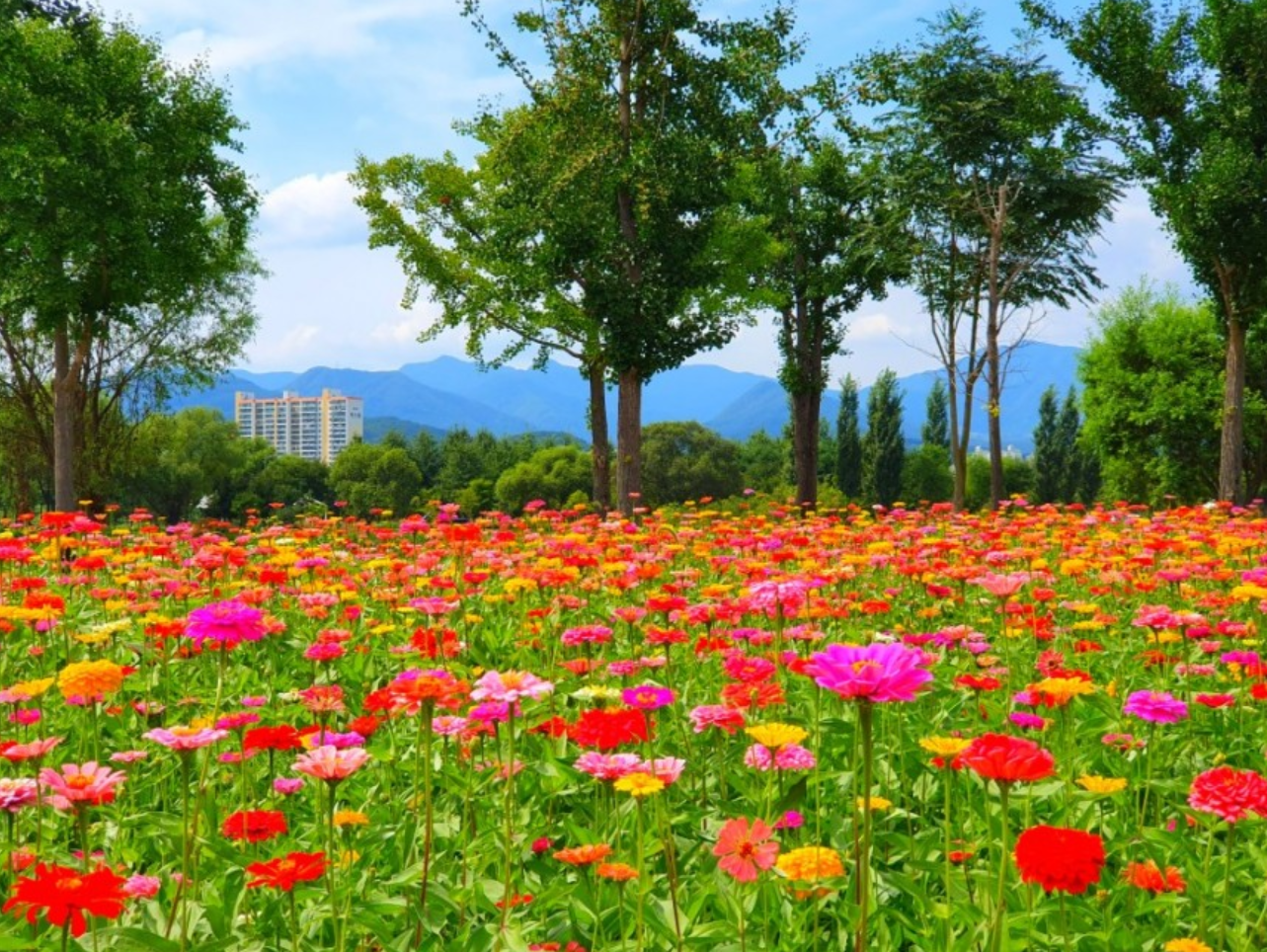 가평 가볼만한곳 베스트10