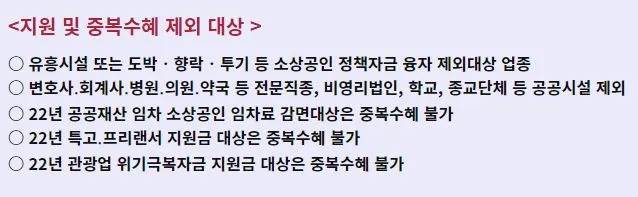 임차 지킴자금 지원 대상 제외