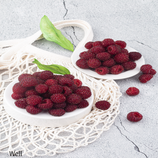 유방암에 좋은음식