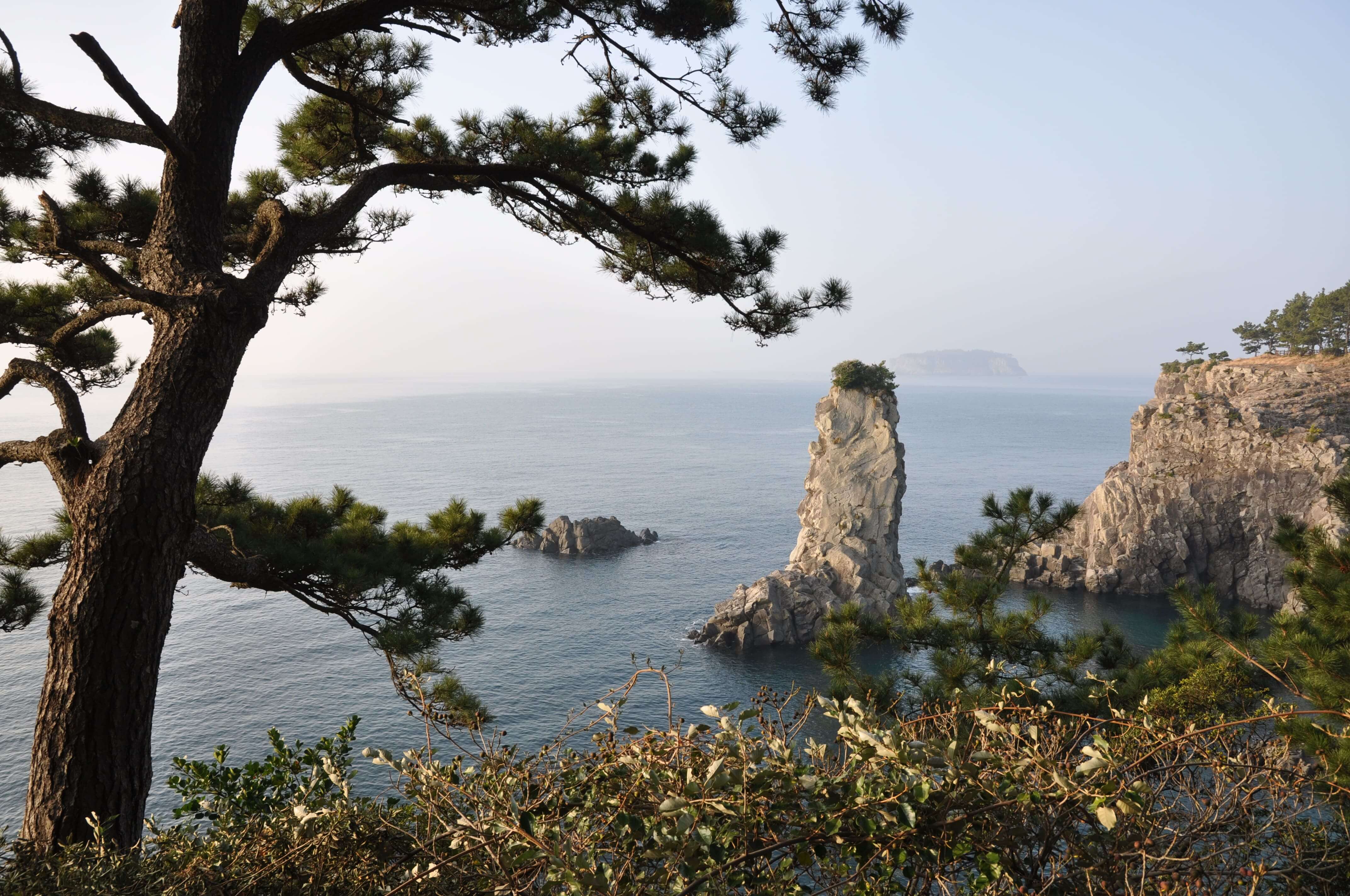 올레길 7코스 vs 10코스, 최고의 선택은? 🥾