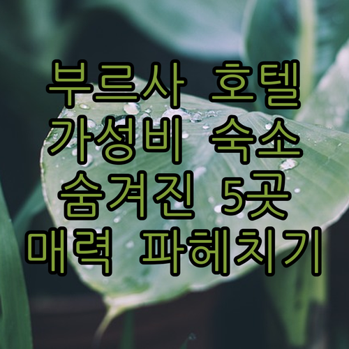 가성비 갑 부르사 호텔 어디? 5곳의