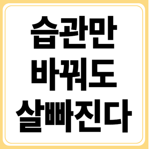 식욕만 잡아도 살이 빠진다? 식욕 억제 실천 노하우 6가지