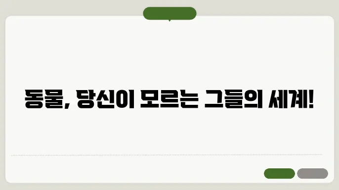 동물 행동학: 동물들은 어떻게 생각하고 행동하는가?
