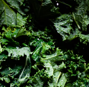 불안장애에 좋은 음식 영양제 식단