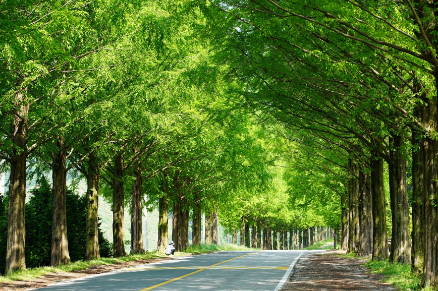 친환경 선물 관련 사진