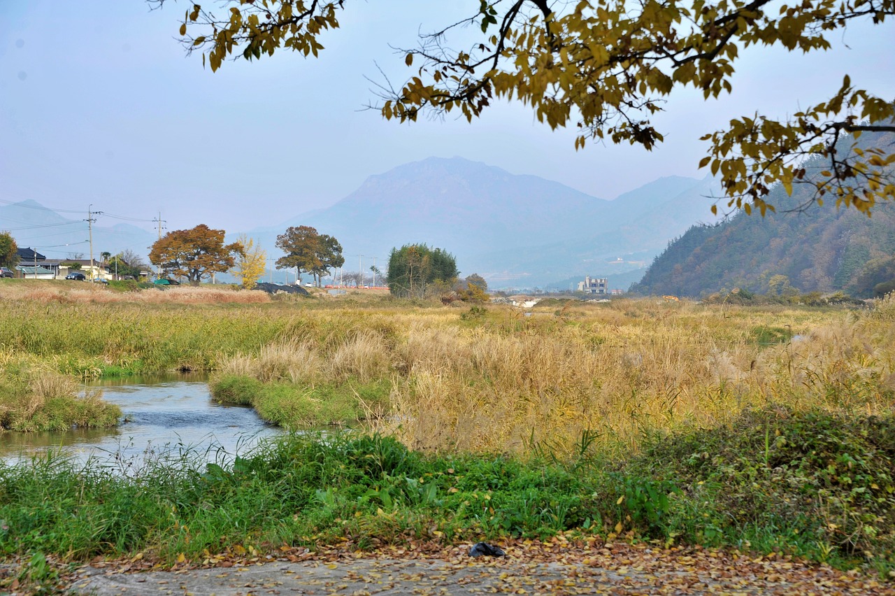 전남 장흥군 – 귀농 1세대와 로컬 농업 플랫폼 구축 사례