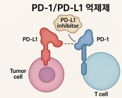 억제제부터 CAR-T 세포치료