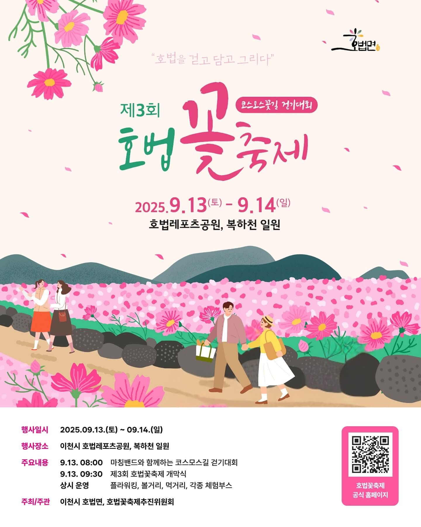 이천 호법 코스모스 꽃축제