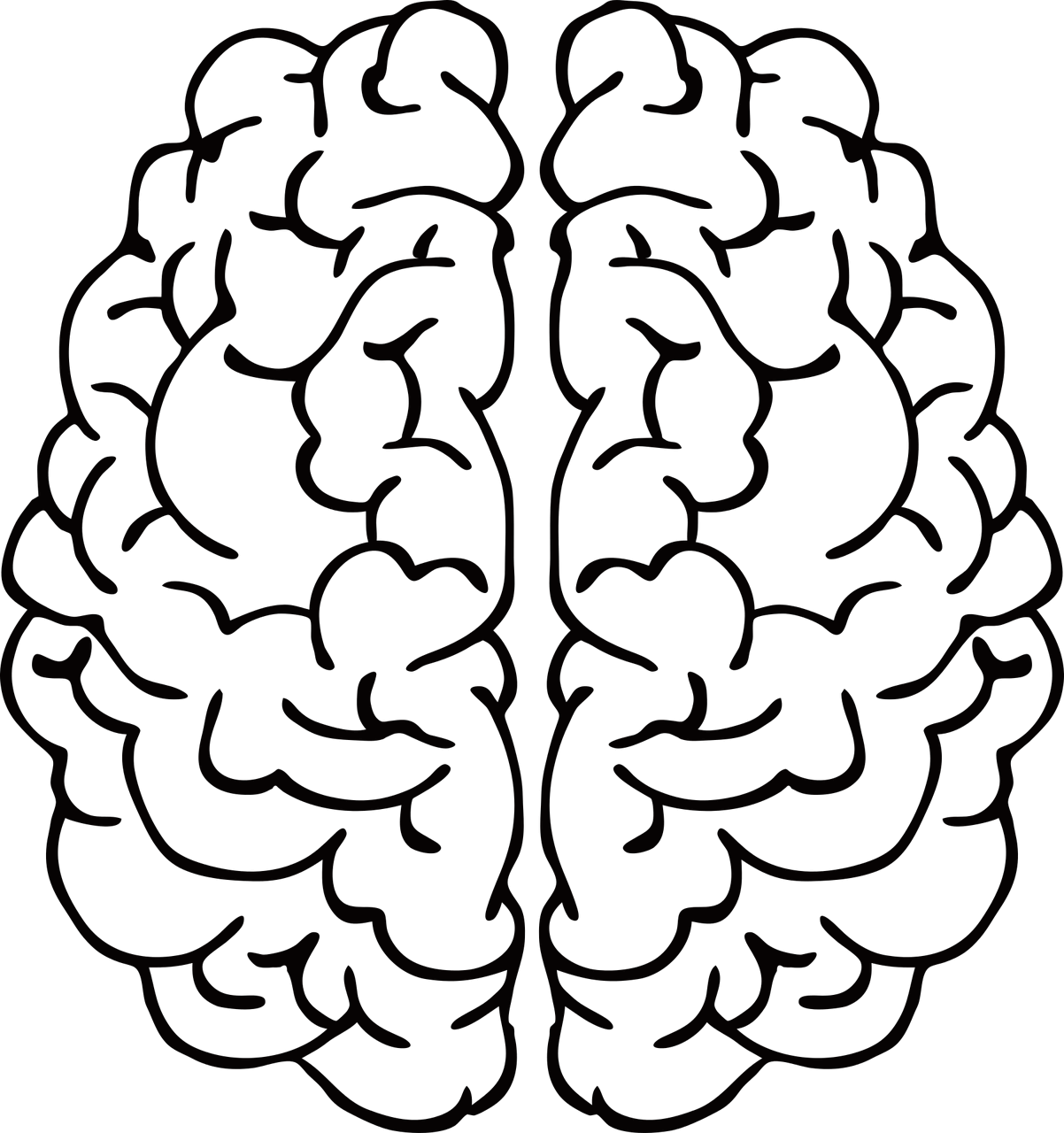 뇌 건강을 지키는 식단과 생활 습관