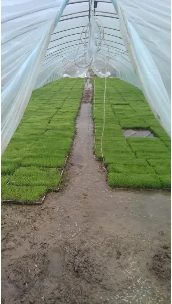 농사 물 관리 비가림 설치 배수로 정비 가뭄 대비 빗물 저장_13