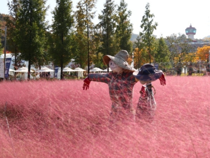 용인/새로운/인기/핫플/용/자작나/숲
