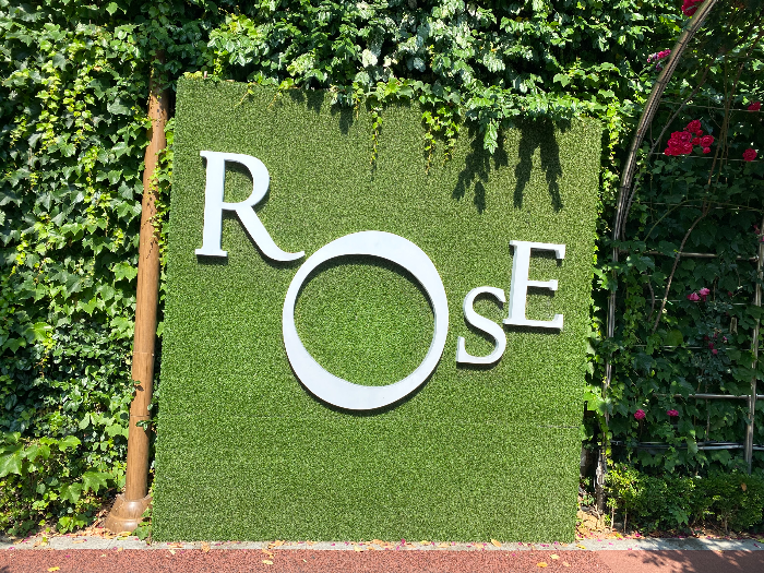 ROSE 포토존 이미지