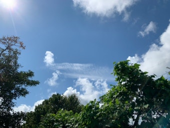 삼성 서비스센터 예약