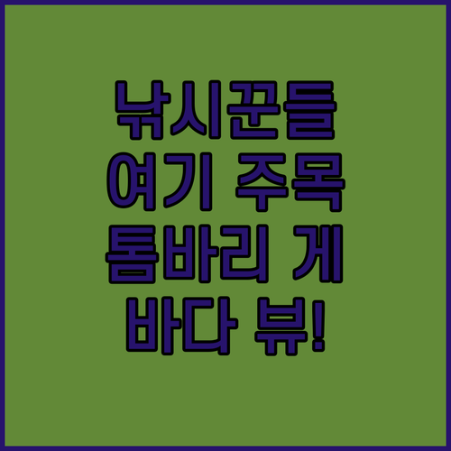 낚시꾼들 여기 주목 Tomabari 