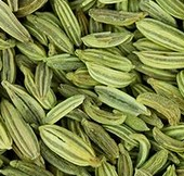 산미나리 씨앗 모습