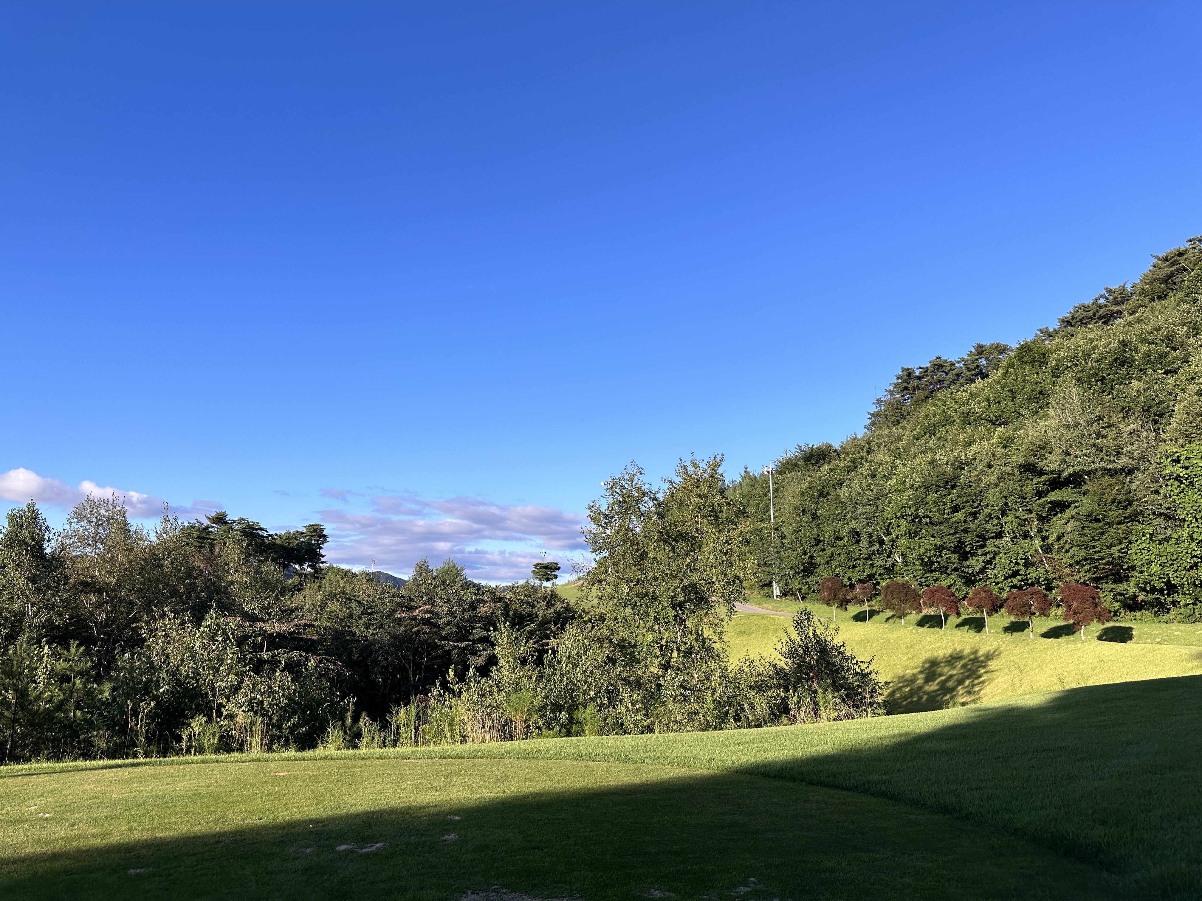 올스필드 CC 코스