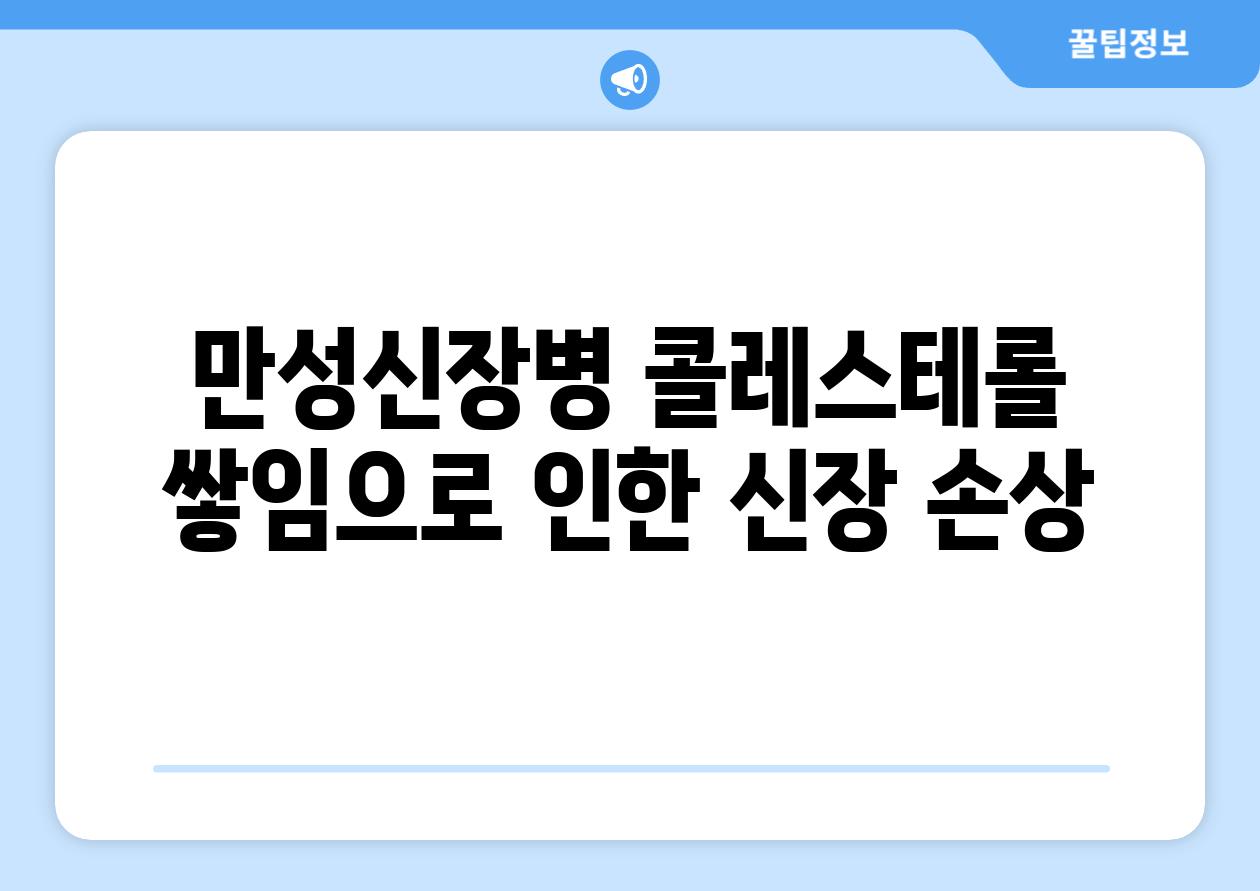 만성신장병 콜레스테롤 쌓임으로 인한 신장 손상