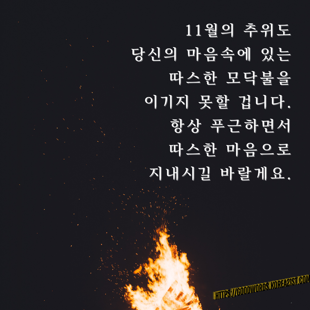 11월 인사말 문구 이미지 모음 안부 메세지