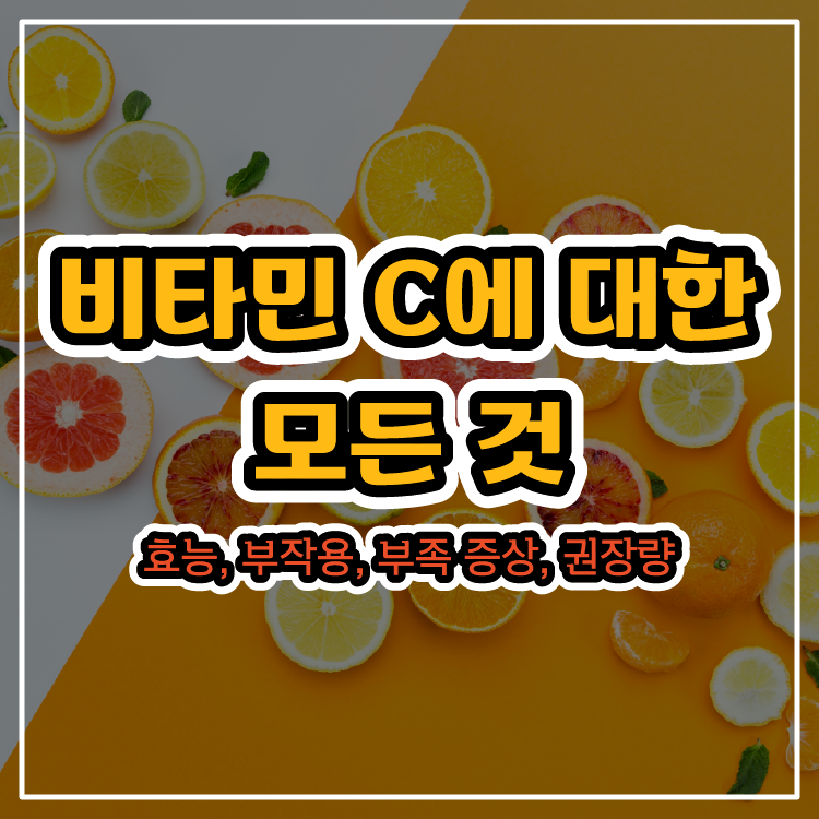 비타민 C에 대한 모든 것 - 효능, 부작용, 부족 증상, 권장량
