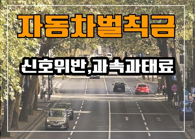 과속단속조회