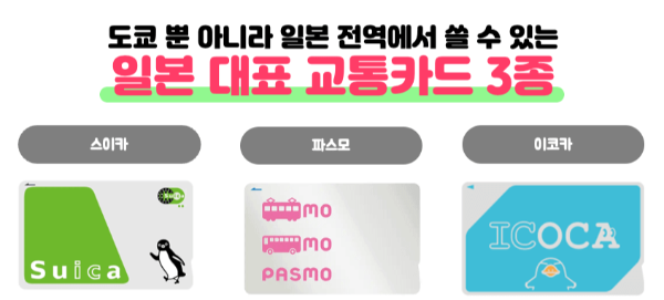 도쿄-근교-여행지-가마쿠라-에노시마-요코하마-하코네-이즈-닛코-카와고에-스이카-애플페이-일본-체크-카드-돈키호테-할인쿠폰