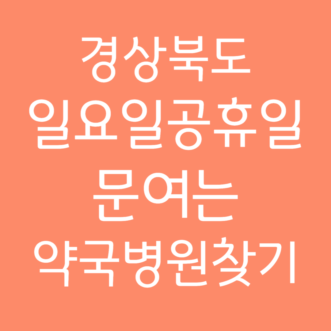 경상북도 일요일 공휴일 문여는 약국병원 찾기