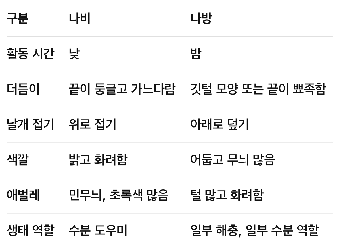 나비와 나방 구분 요약표