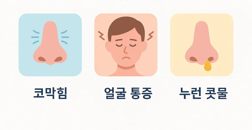 부비동염 증상