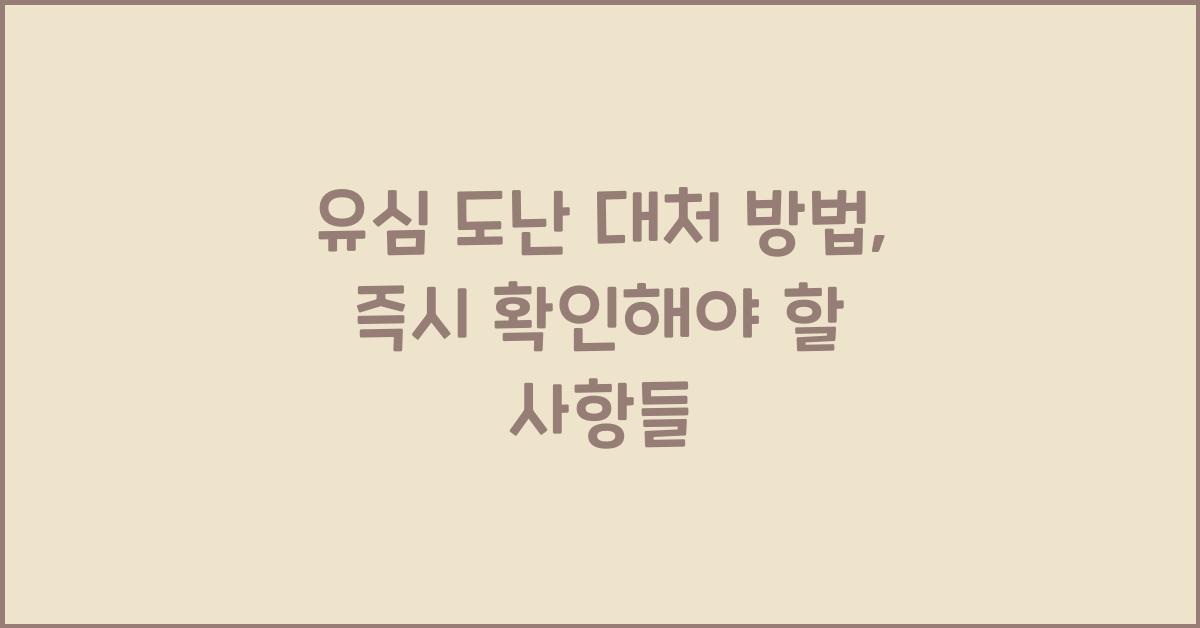 유심 도난 대처