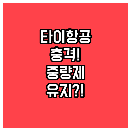 타이항공 수하물 규정, 미주 노선은 ..