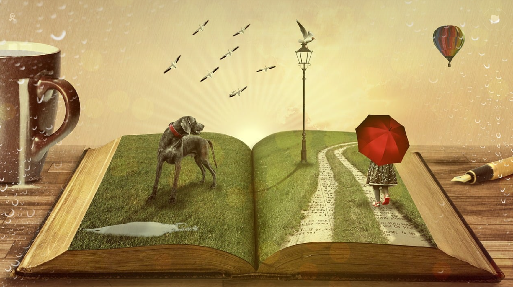 국어 책 관련 사진