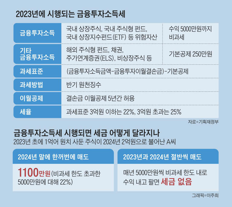 금융부자소득세 세부내용