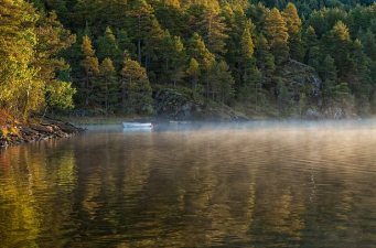 차상위계층 혜택 2025년 13
