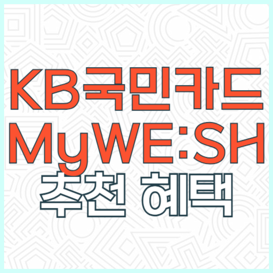 KB국민 My WE:SH 마이위시 카드 후기 추천