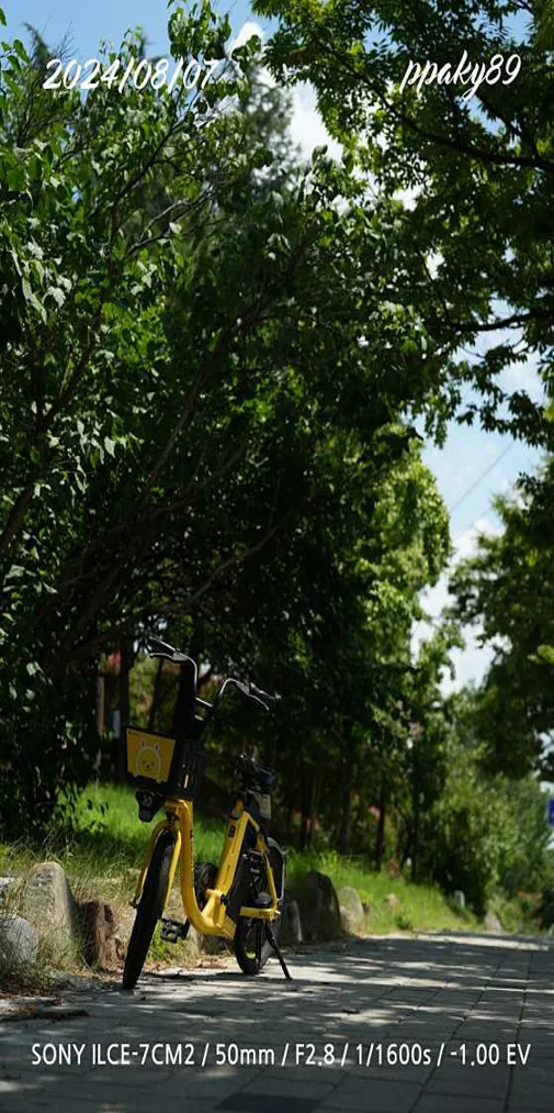 오류고아라해변