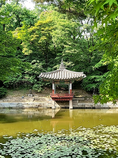 창덕궁 후원-예매-예약-현장예매-서울궁투어-창덕궁-전각-후원-홈페이지-인터넷