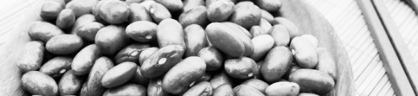 강낭콩 보관법: 밝고 생생한 색깔