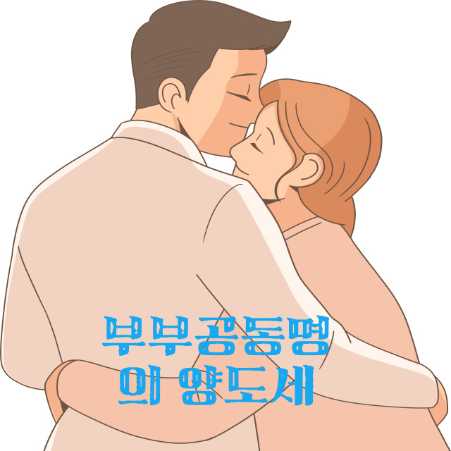 부부공동명의 양도세