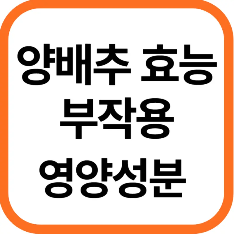 양배추 효능 및 부작용, 영양성분