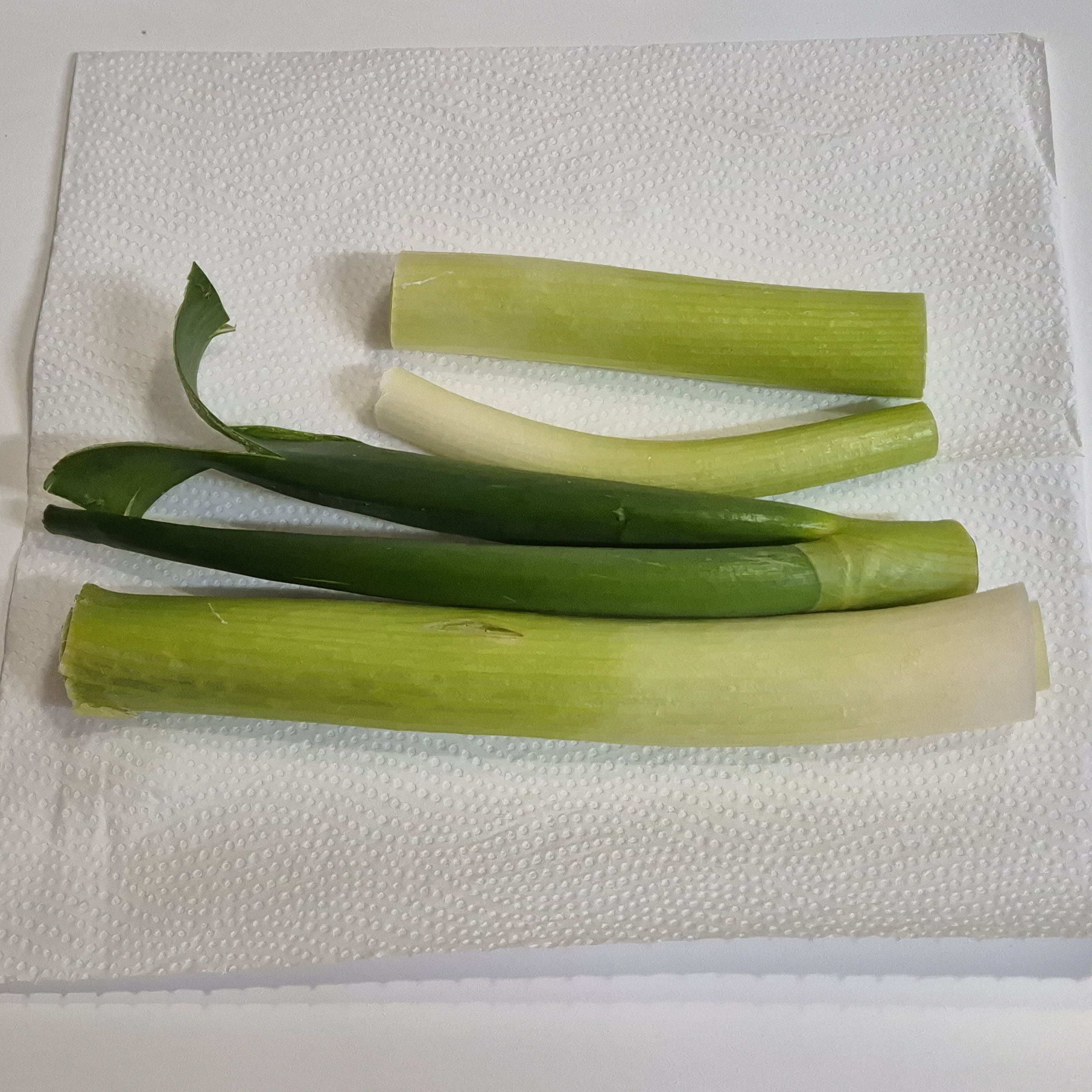 3일 지난 대파의 모습 전체사진