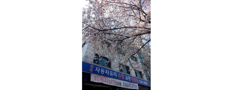서울 관악구 자동차유리
