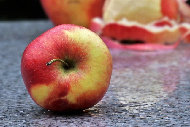 고관절 수술후 회복기간 9