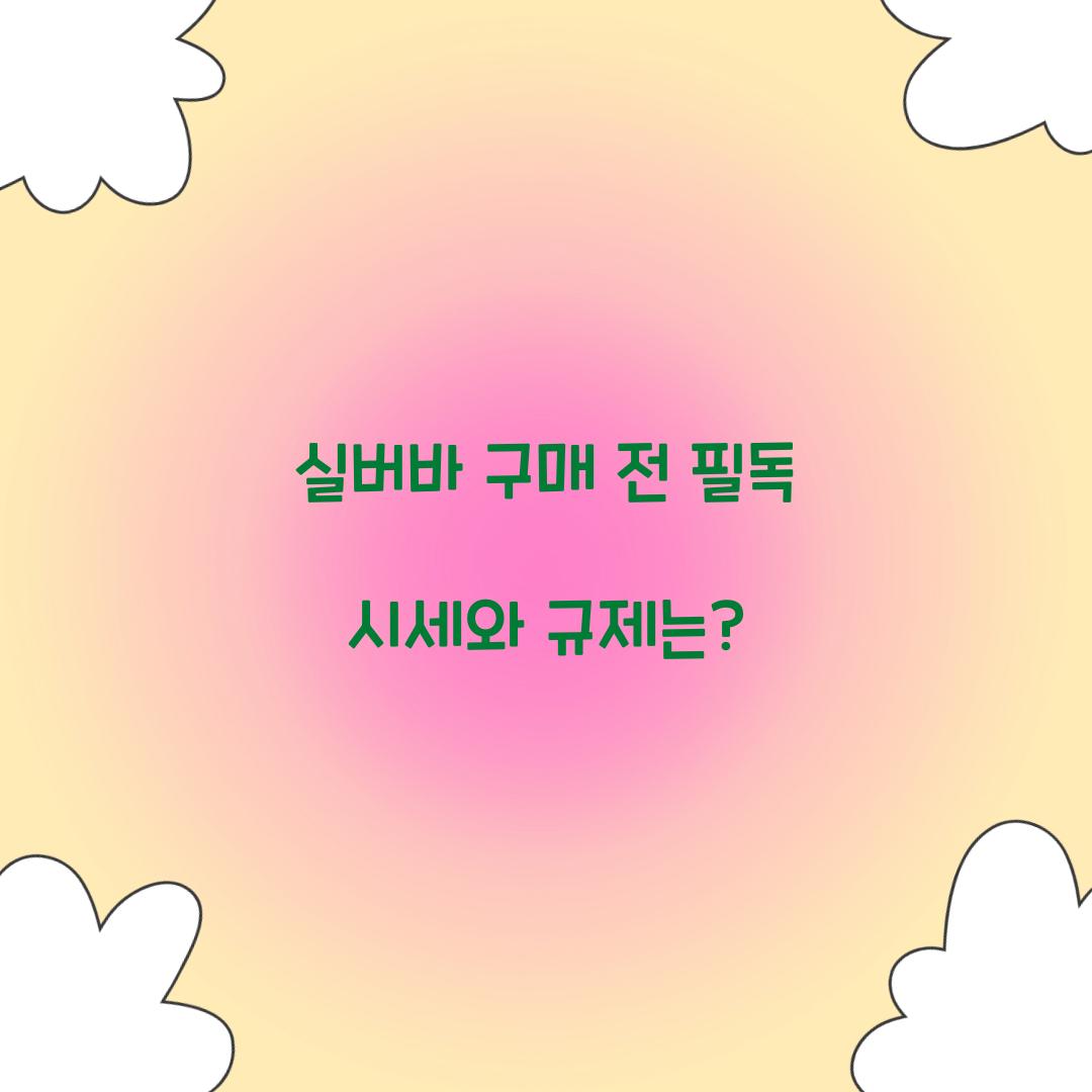 실버바 구매