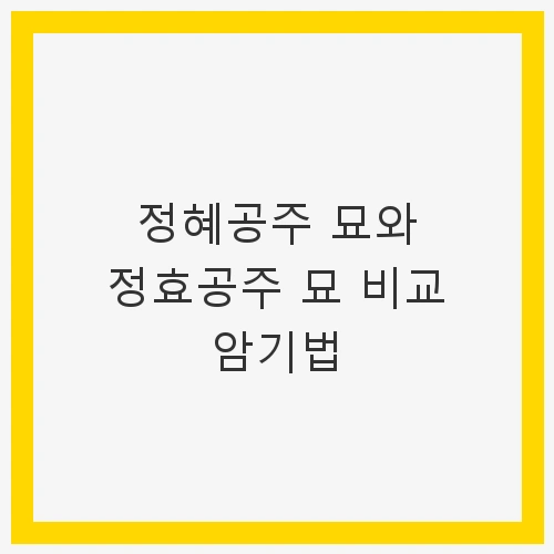 정혜공주 묘와 정효공주 묘 비교 암기법 - 쉽게 배우는 한국사