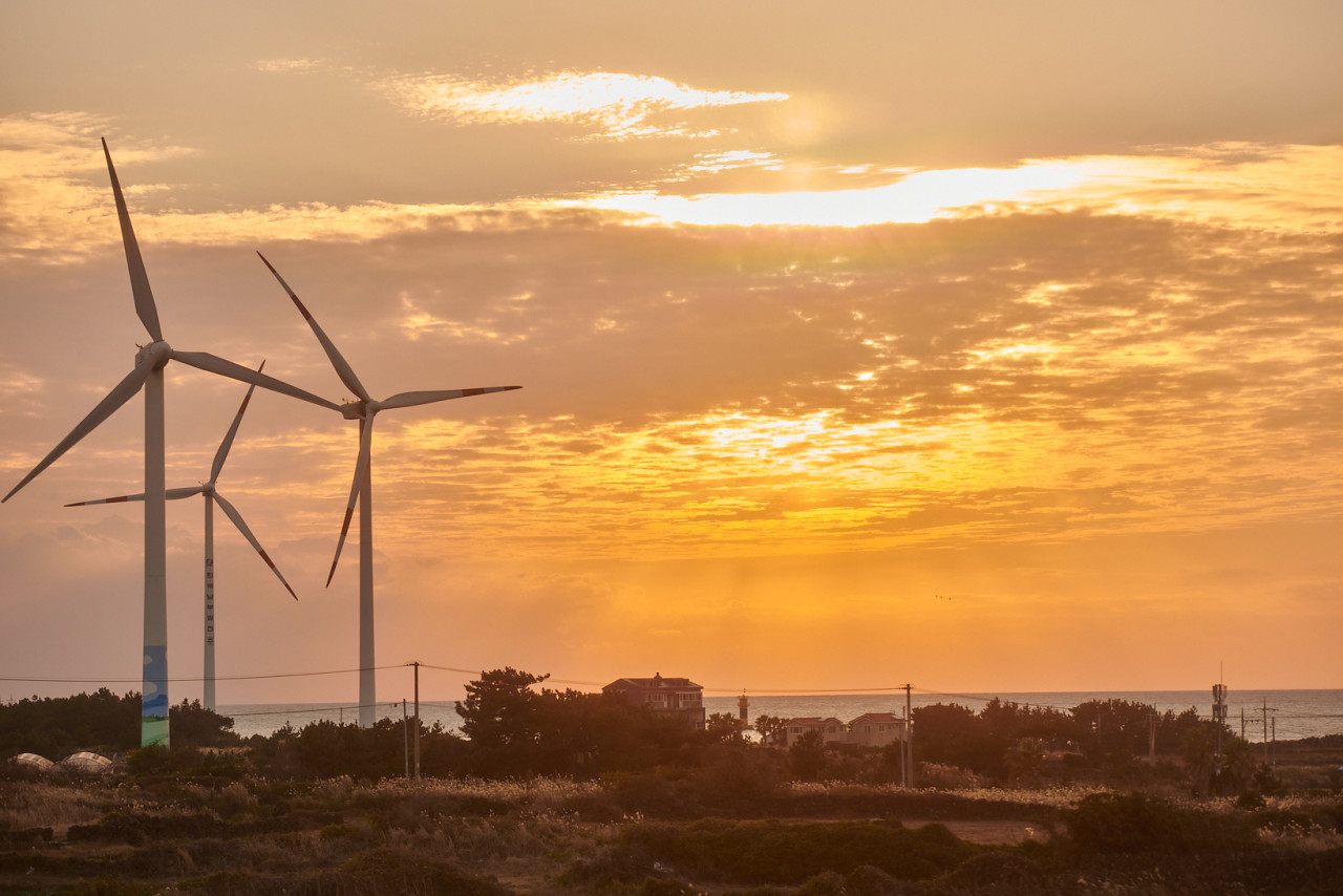 풍차로 가는 길